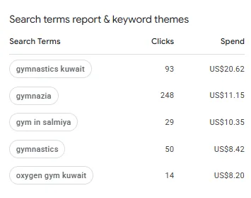 Search Terms Report — Top Keyword Themes