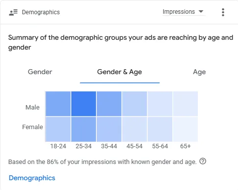 Demographics — Audience by Gender & Age