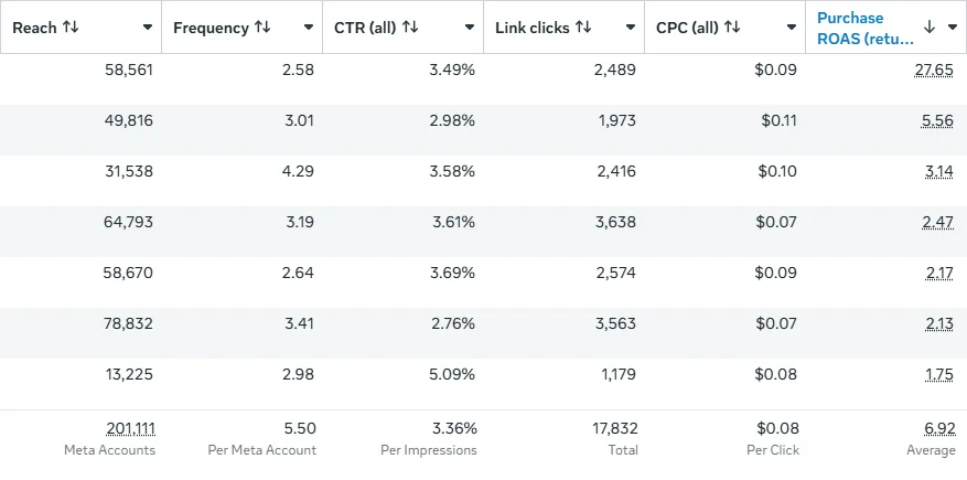 Campaign Metrics — Reach, CTR, CPC & ROAS by Ad Set